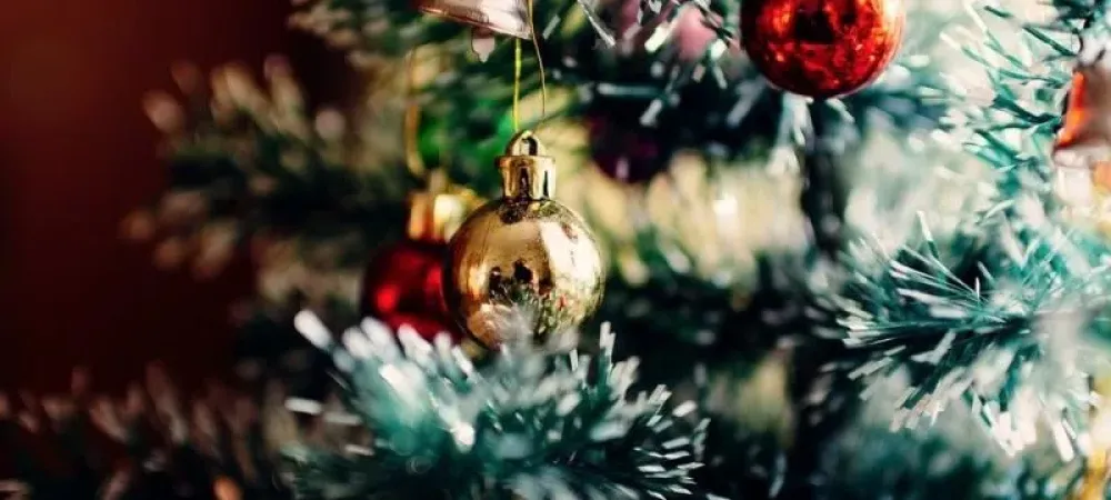 Does Your Christmas Tree Have Bugs?