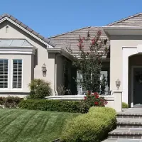 Residential Pest Control