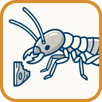 termite control icon