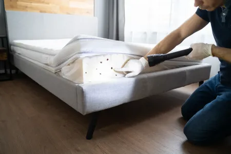 exterminator bed bug