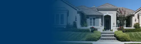 Residential pest control