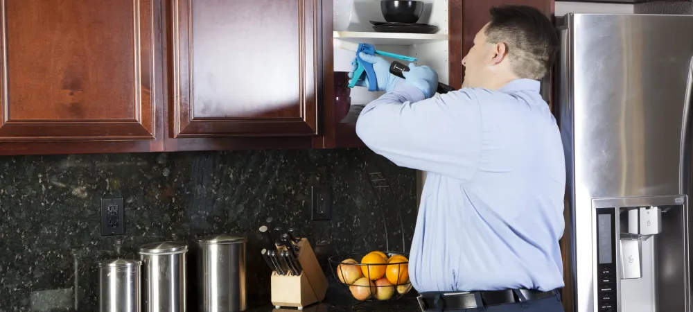 pest control technician sealing cracks